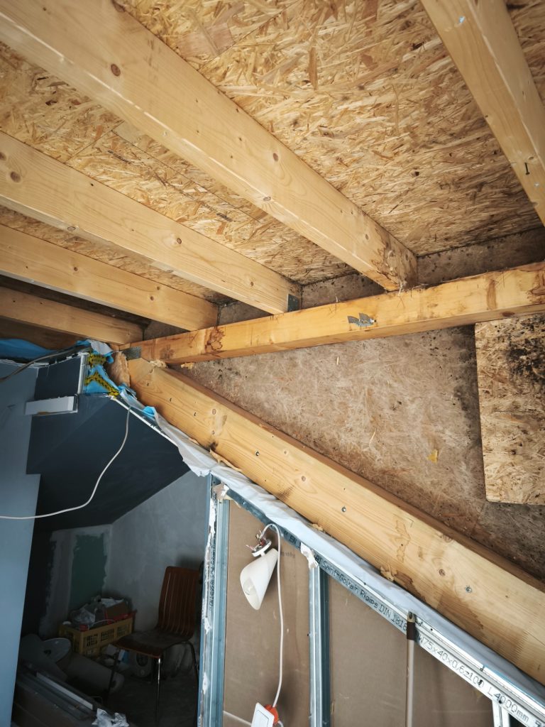 Schimmelbehandlung